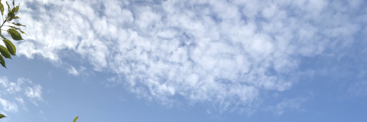 ano12s's profile banner image