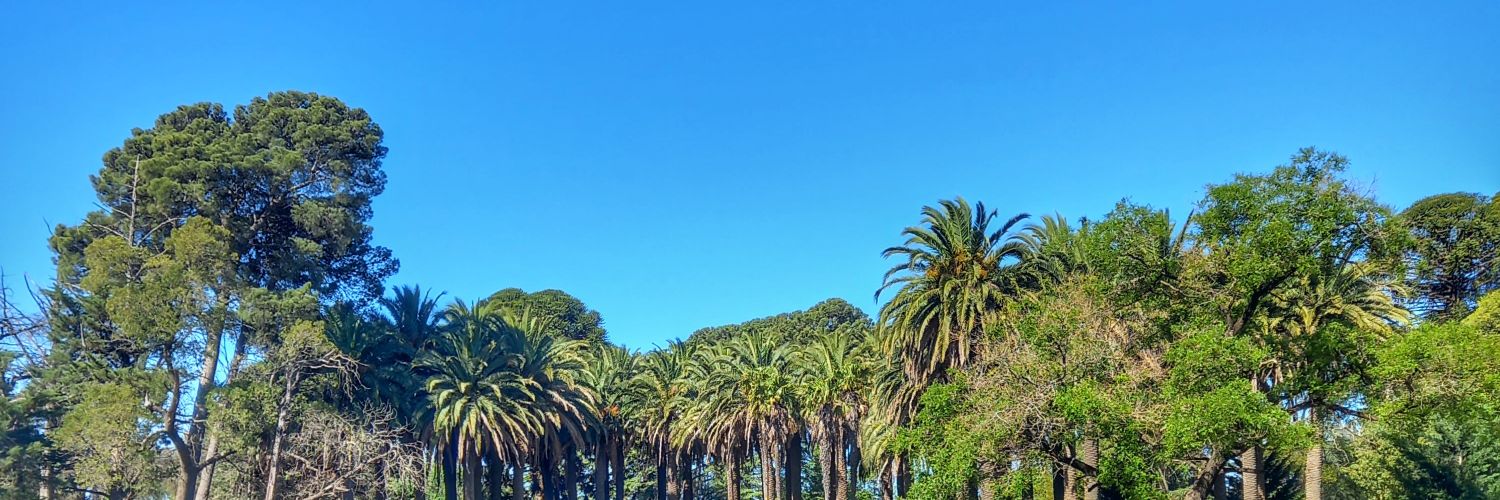 ViCtossetti's profile banner image