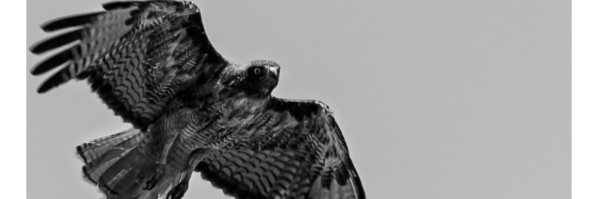 doctoroutside's profile banner image