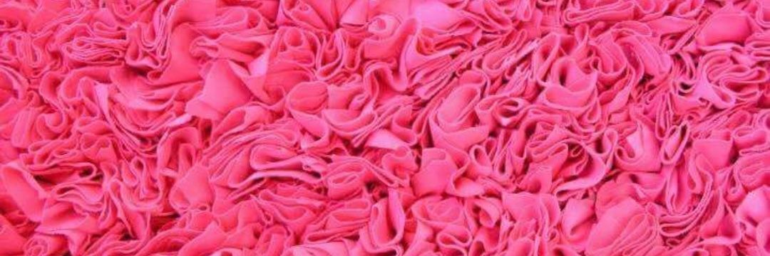 TrLu15's profile banner image