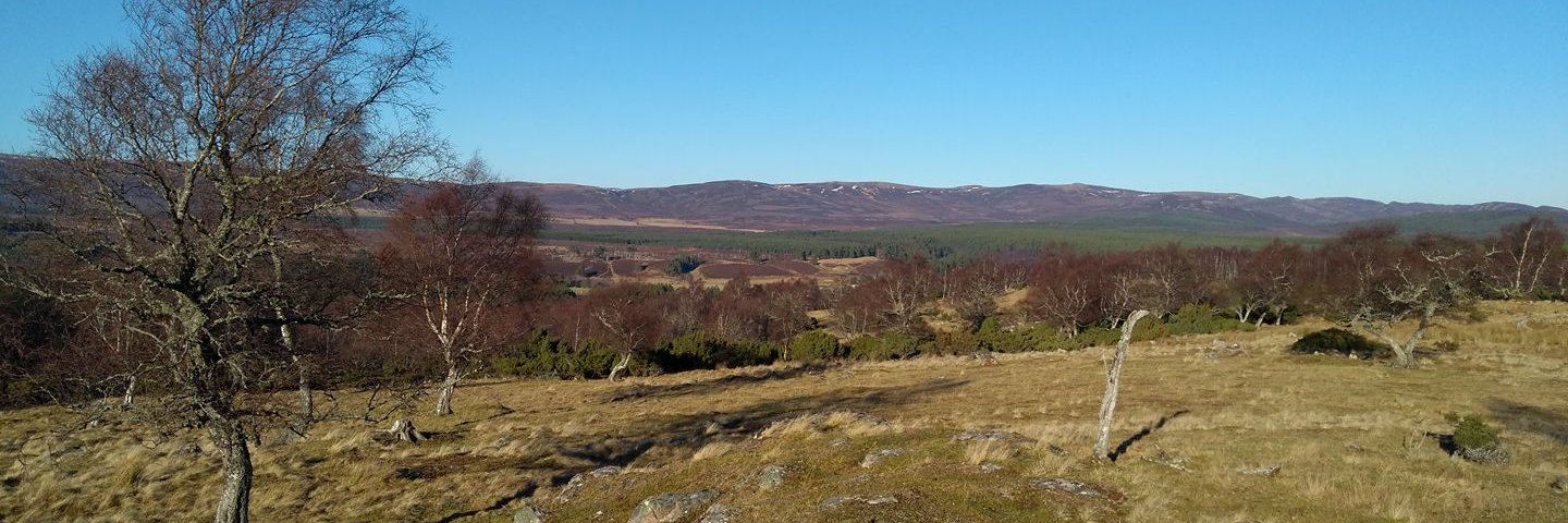 Carrbridge Nature banner