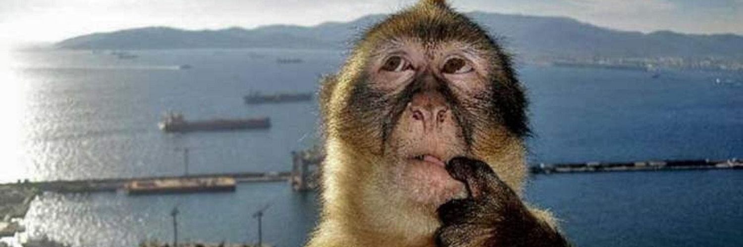 cheeseburger man banner