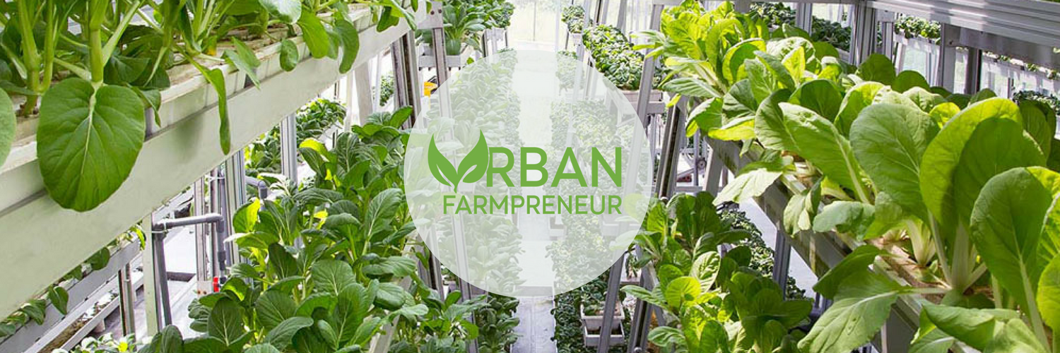 UFarmpreneur's profile banner image