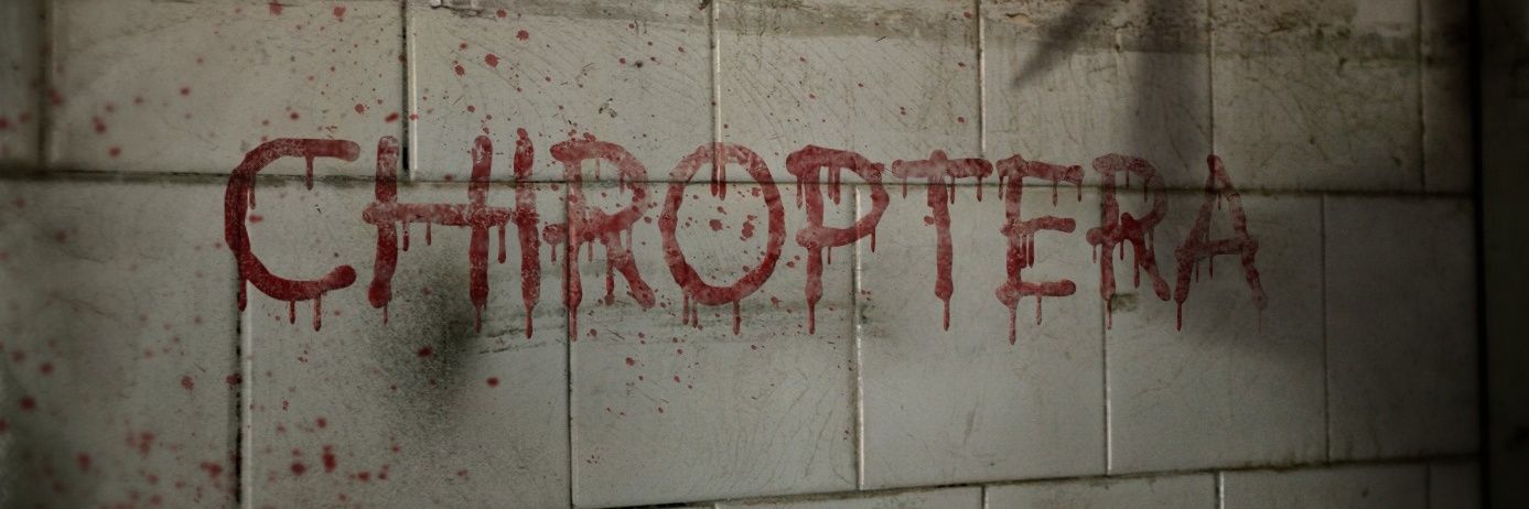 mchiroptera's profile banner image