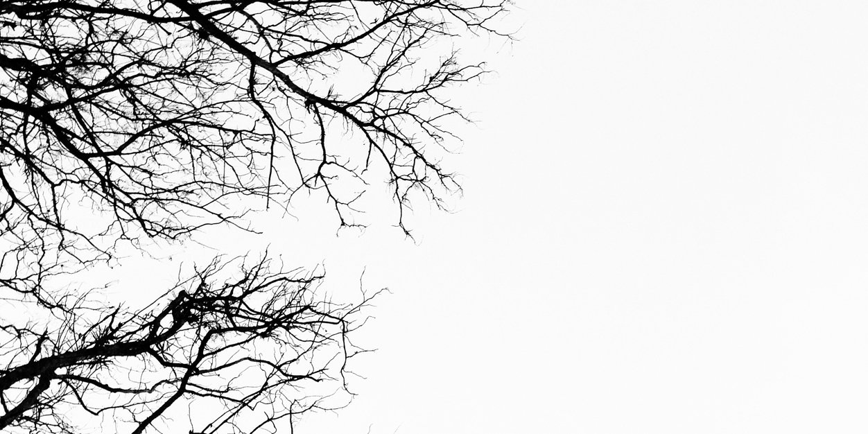 Ichagustinputri's profile banner image