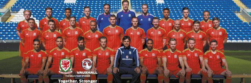 Owain Fôn Williams banner