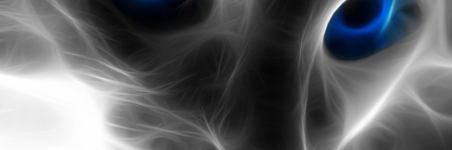 TinyTonyH's profile banner image