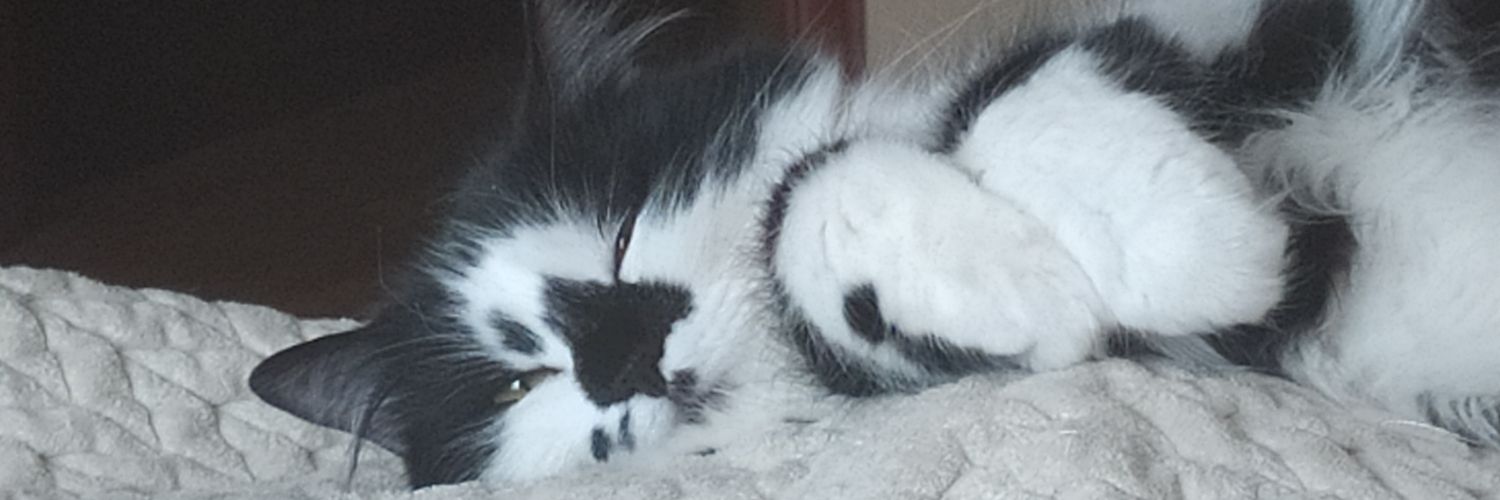 Paulapm01_'s profile banner image