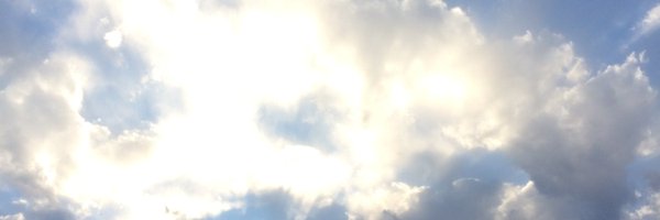 The_LOIS_Effect Profile Banner