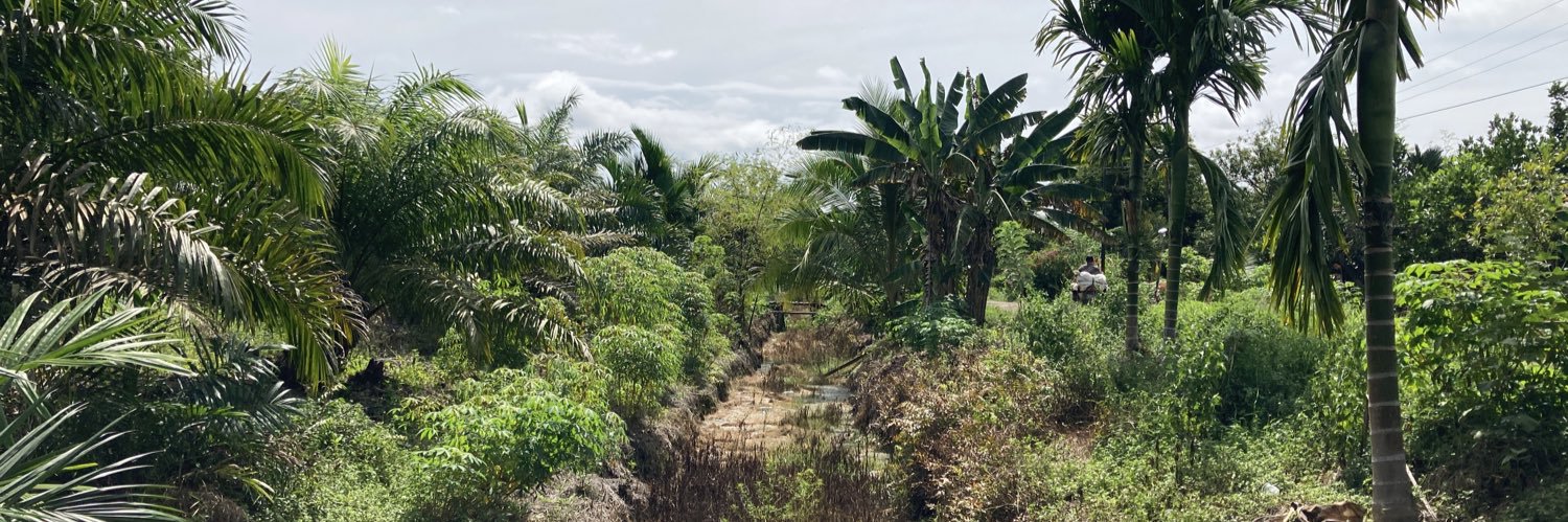 Dr. Clarice Perryman banner