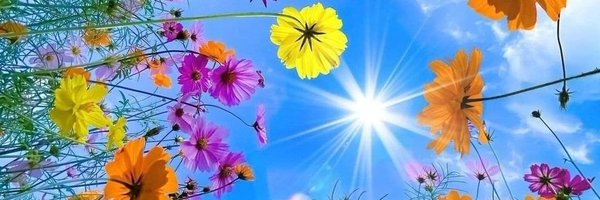 78thQueen Profile Banner