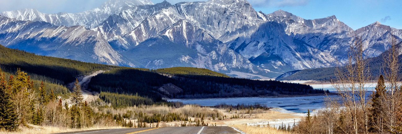 DavidThompsonCountry banner