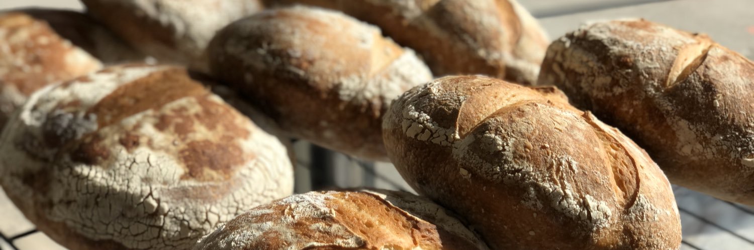 Amy Rensby 🇨🇦 banner