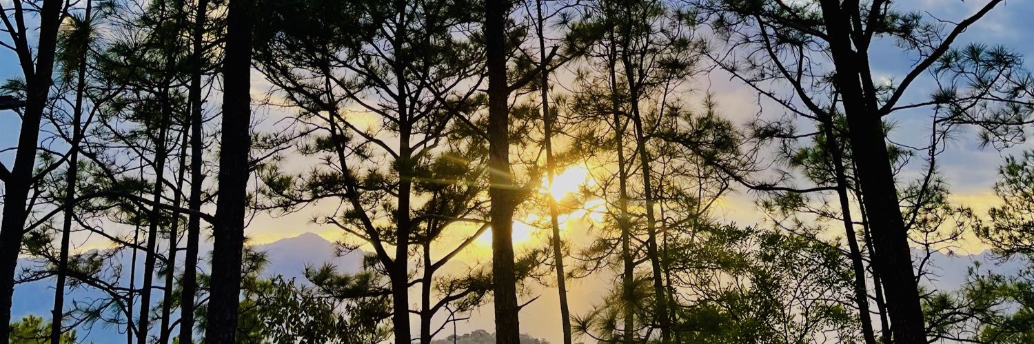 lispcr3's profile banner image