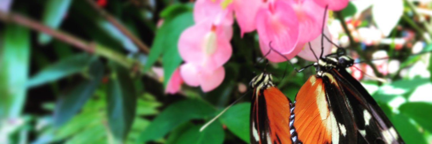 McCosker_Tech's profile banner image