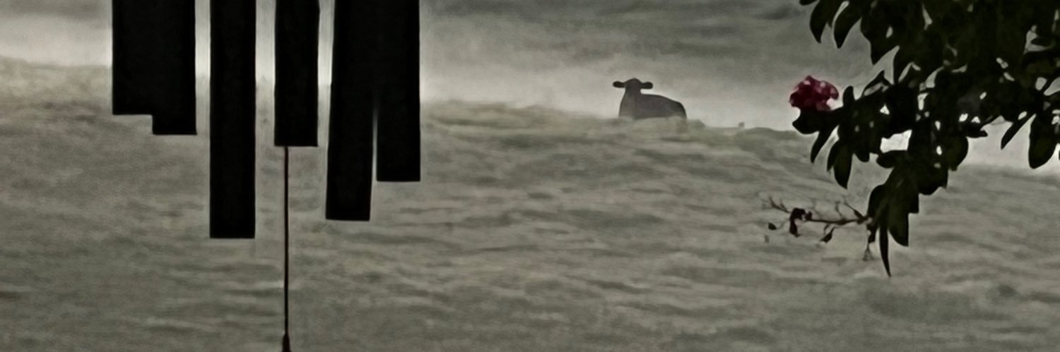 MrsDoering's profile banner image
