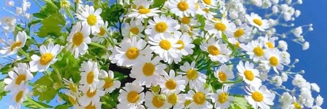 Danka-znak: Koziorożec! 🇵🇱 I am who I am! banner