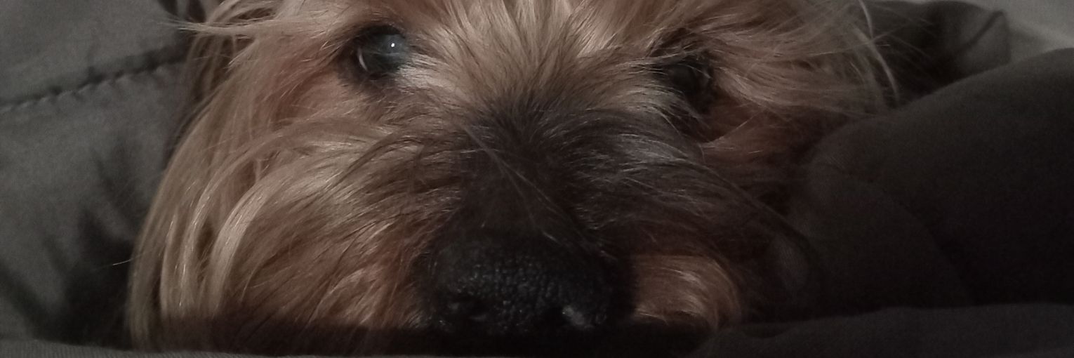 guadaabr's profile banner image