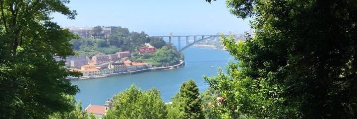 Alessandra Carneiro banner