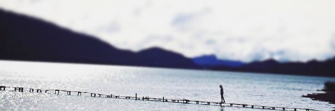 paulialard's profile banner image