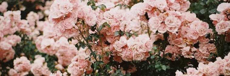 LoridethMary's profile banner image
