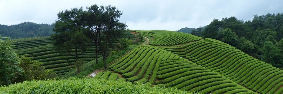 ClimateCollaborative banner