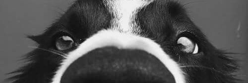 DeborahPettit8's profile banner image