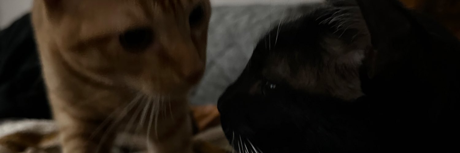 jbvxoxo's profile banner image