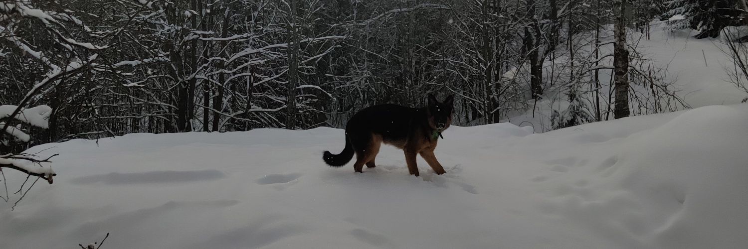 Timlyy's profile banner image