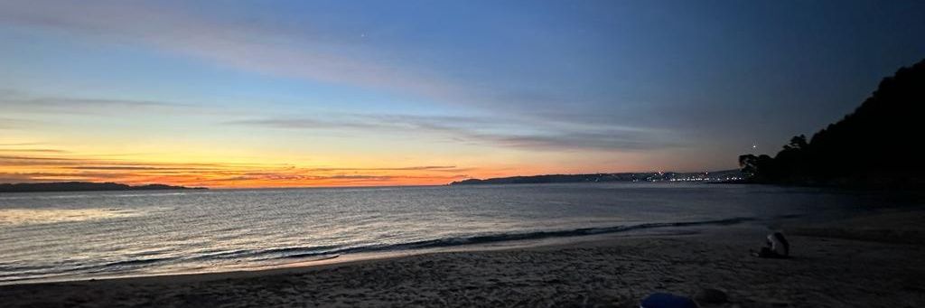 SOFIAZUPKUS's profile banner image