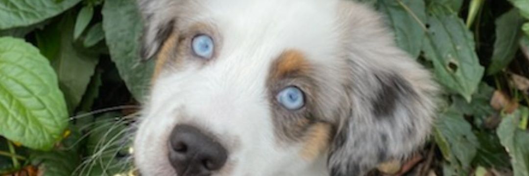 odin4life's profile banner image