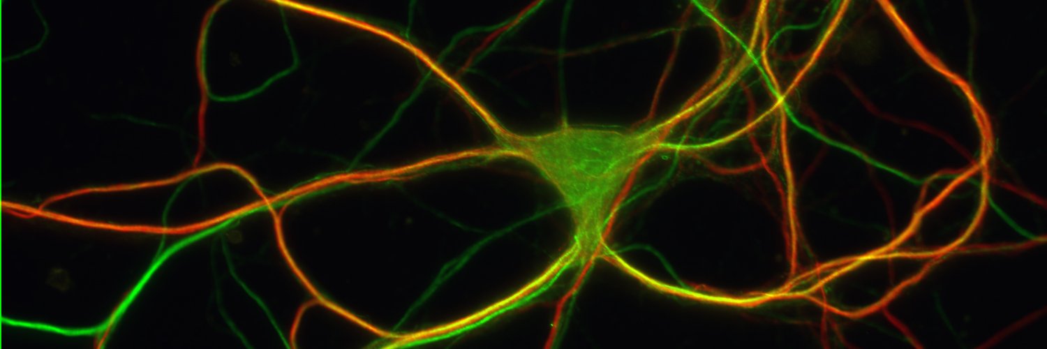 Lisa Boulanger 🧠🔬🧬 banner