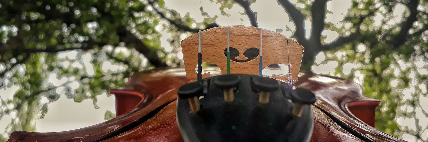 mrtmrcn_'s profile banner image