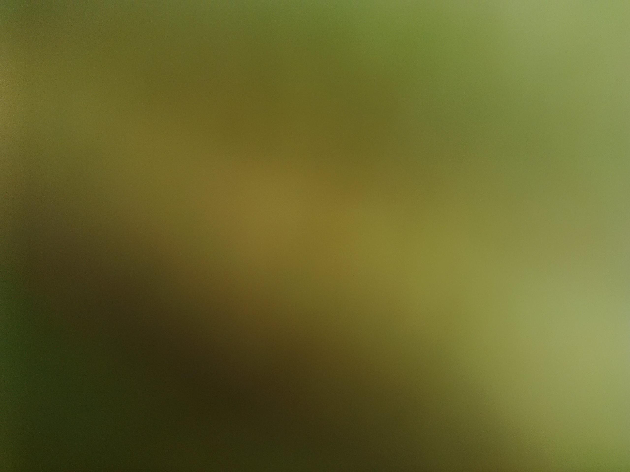 Shachindra_T's profile banner image