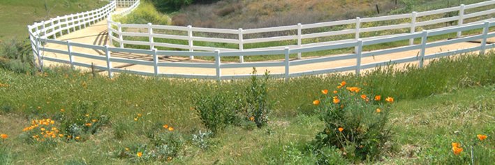 Susana Mounts 💙 🇺🇸🇺🇦🌊🌻🌺 banner