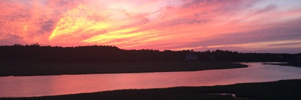 sophia_kidney Profile Banner