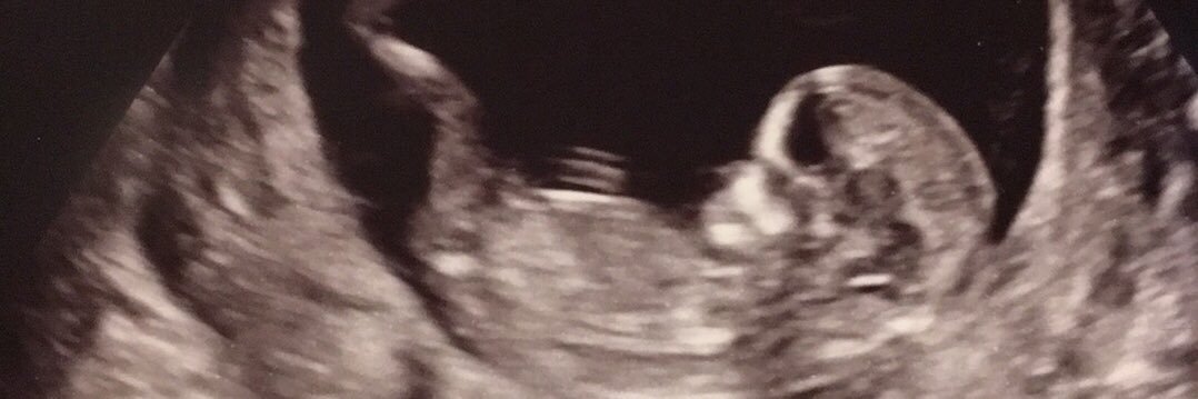 Socially Distant Vaccinated Masked Momma Penguin banner