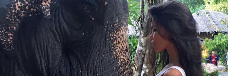 MikaaRose's profile banner image