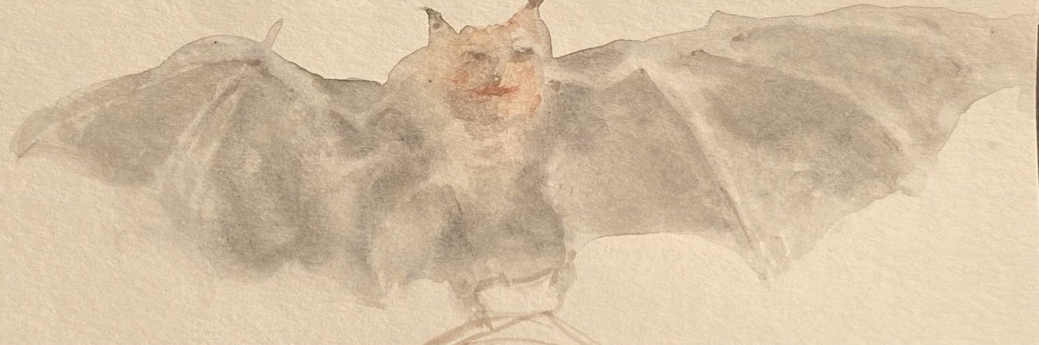 oface1's profile banner image