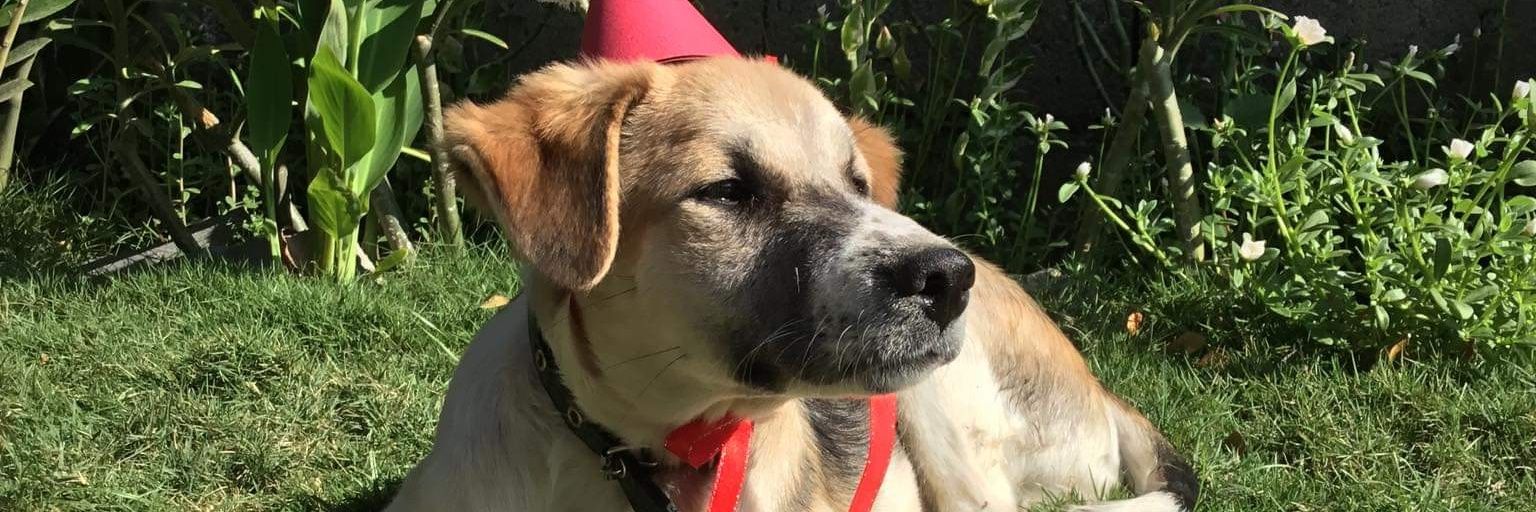 miawitchh's profile banner image