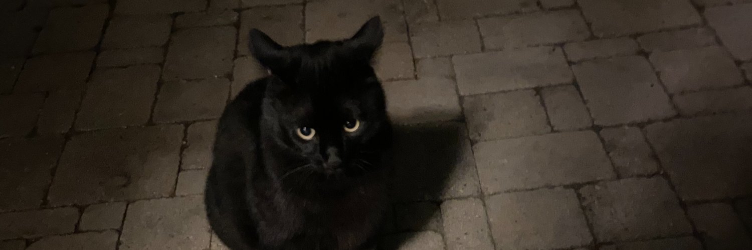 meowgameing's profile banner image