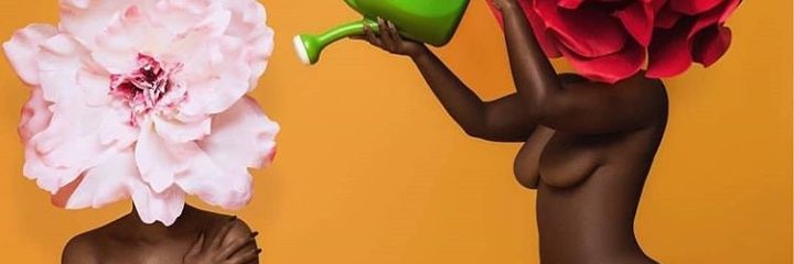 LUMA MOTTA banner