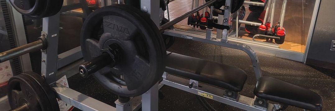 レビンのヘッダー画像