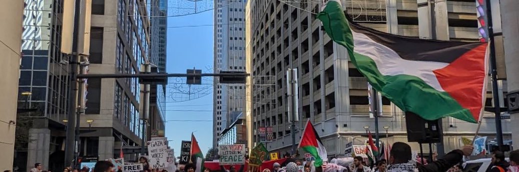 Houston DSA's banner