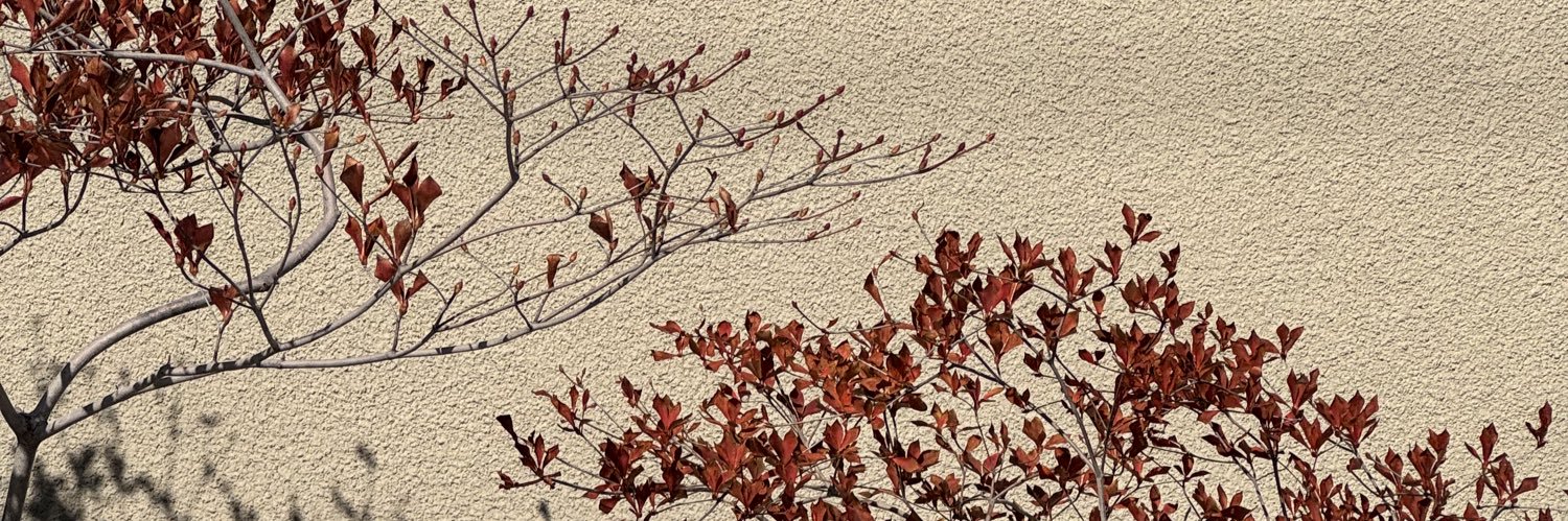 msrin19's profile banner image