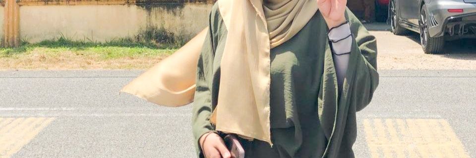 alani fatini banner