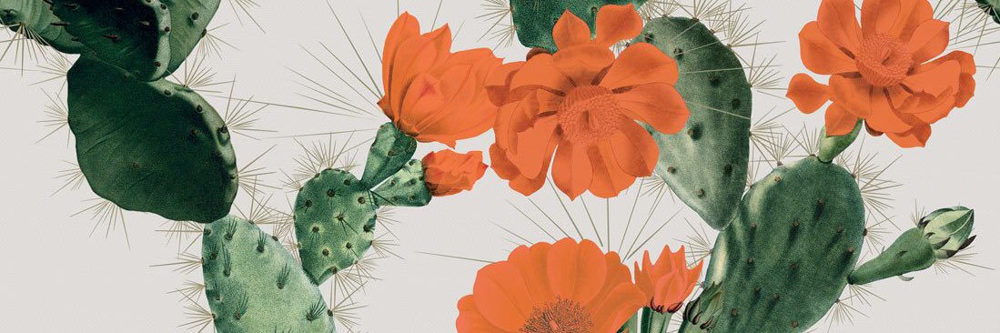 Nicole Piemonte banner