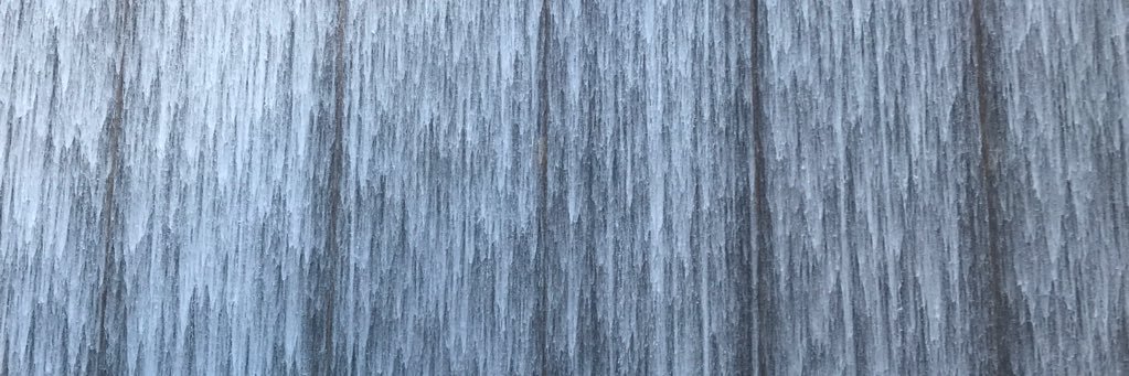 eloragrant31's profile banner image