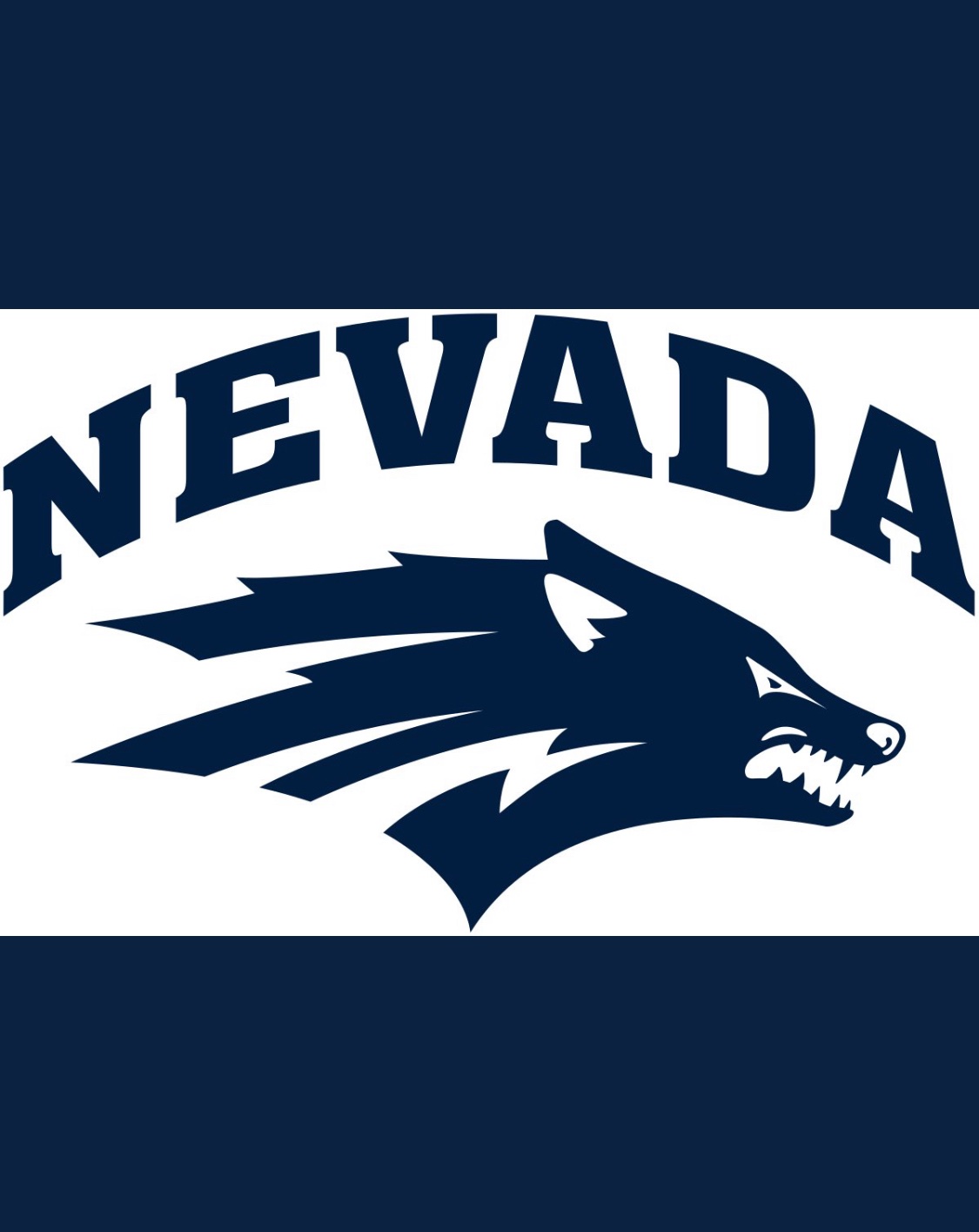 Izzy Sullivan banner