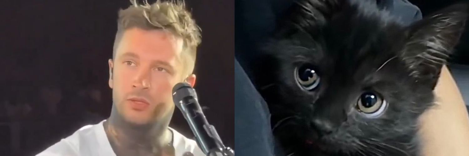 an ⊬ banner